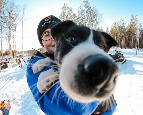 Forest Pine Hotel incl. Transfer & Husky & Nordlichter Tour