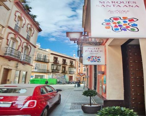 Petit Palace Marqués Santa Ana