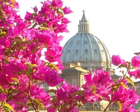 Hotel dei Consoli