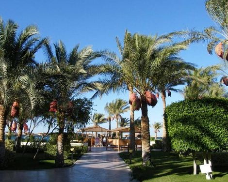 Palm Beach Resort