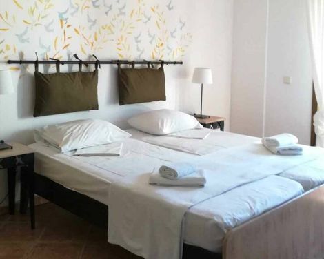 Hotel Ammon Garden-2