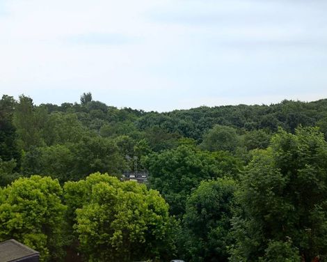 Eurotraveller Hotel Premier Harrow-2
