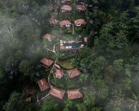 Nandini Jungle by Hanging Gardens