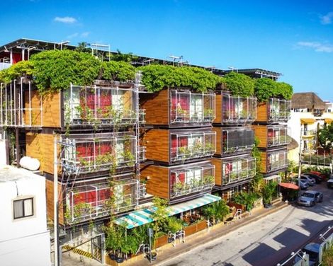 Hotel Kavia 5th Avenida-3