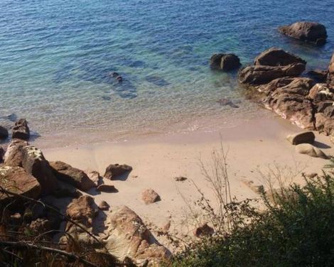 Hotel Norat Palmeira Playa