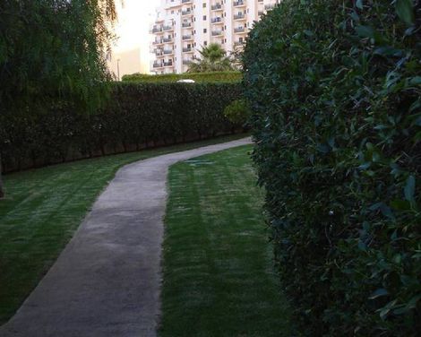 Apartamentos Castelos da Rocha-3