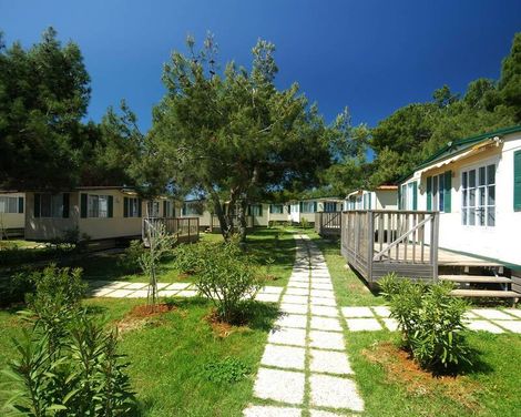 Arena Stupice Campsite