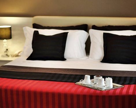 Stelle Hotel The Businest-3