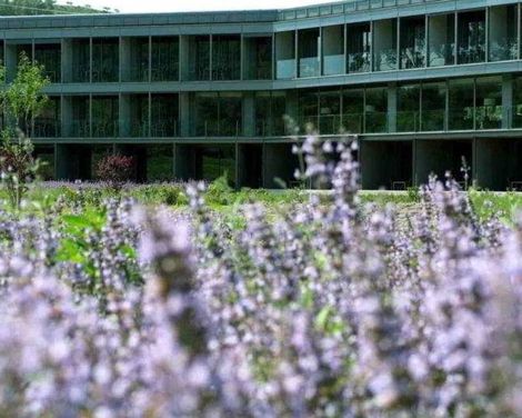 Món Sant Benet Hotel & Conference Centre-3