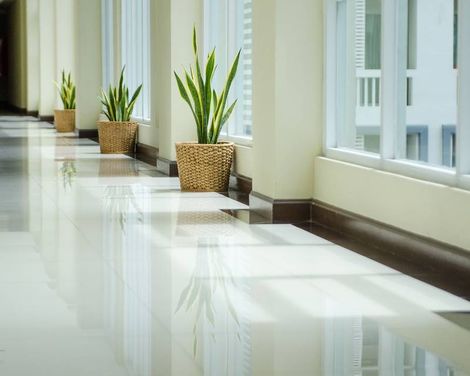 Platinum Suite-3
