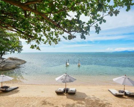 Rocky's Boutique Resort