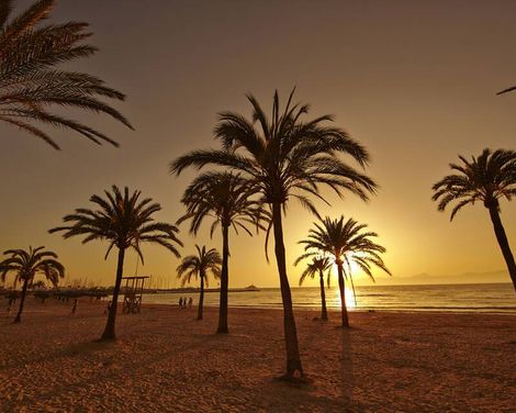 MLL Palma Bay Club Resort