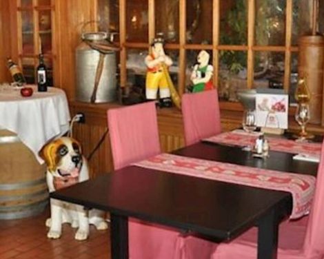 Hotel Krebs