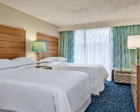 Sheraton Lake Buena Vista Resort-3