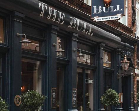 The Bull and The Hide