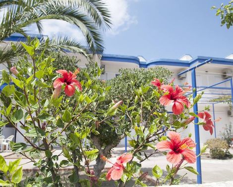 Maritsa Studios
