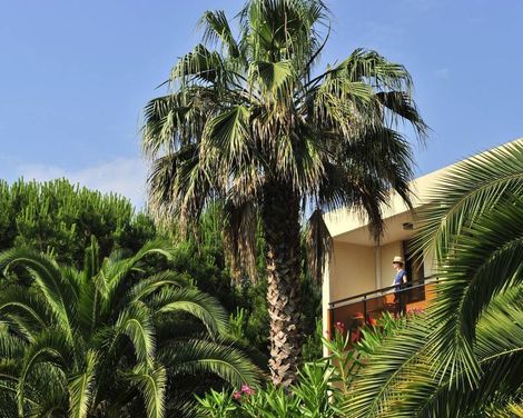 Pierre & Vacances Les Jardins Ombrages-1