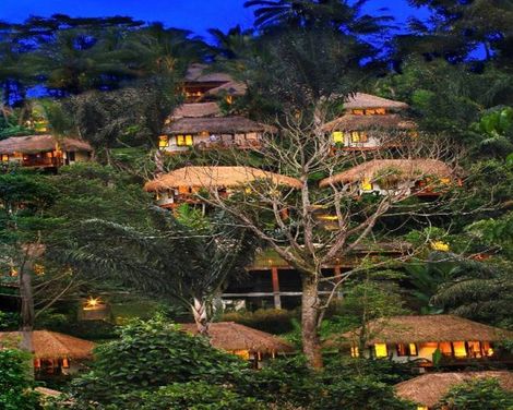 Nandini Jungle by Hanging Gardens-1