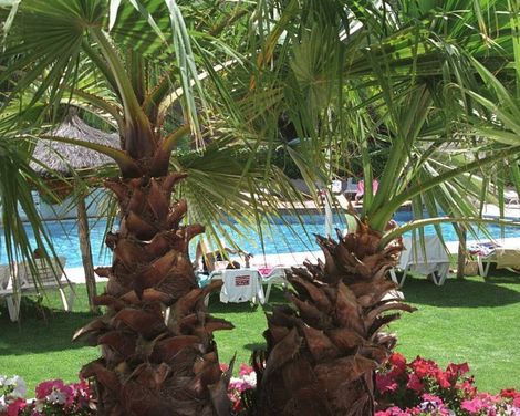 Atenea Park Appartements -2