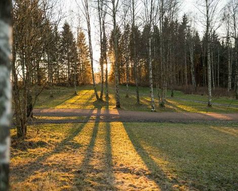 Olympiatoppen Sportshotel, Part of Scandic