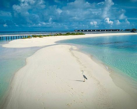 The Residence Maldives at Dhigurah