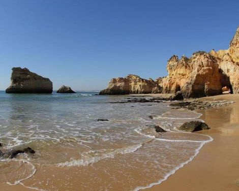 The Navigator - Palm Oasis Alvor