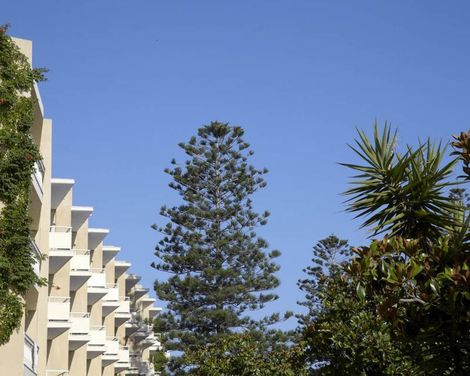 Sunshine Rhodes Hotel