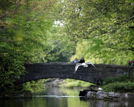 The Cliff Townhouse-2