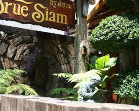 True Siam-1