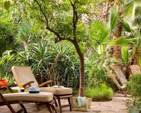 Les Jardins de la Médina