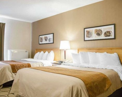 Comfort Inn South