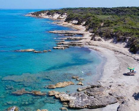 VOI Daniela Essentia