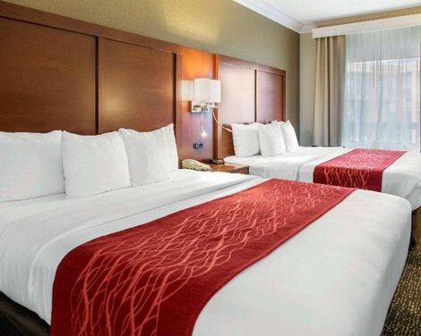 Comfort Inn & Suites San Francisco Airport North-3