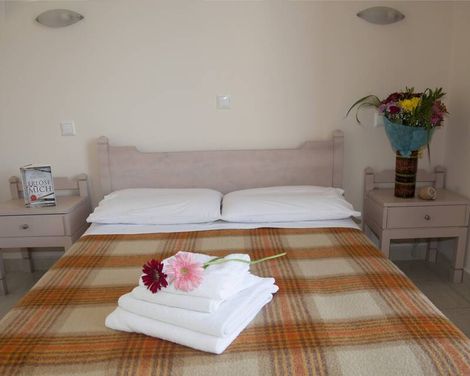 Hotel Theonia-3