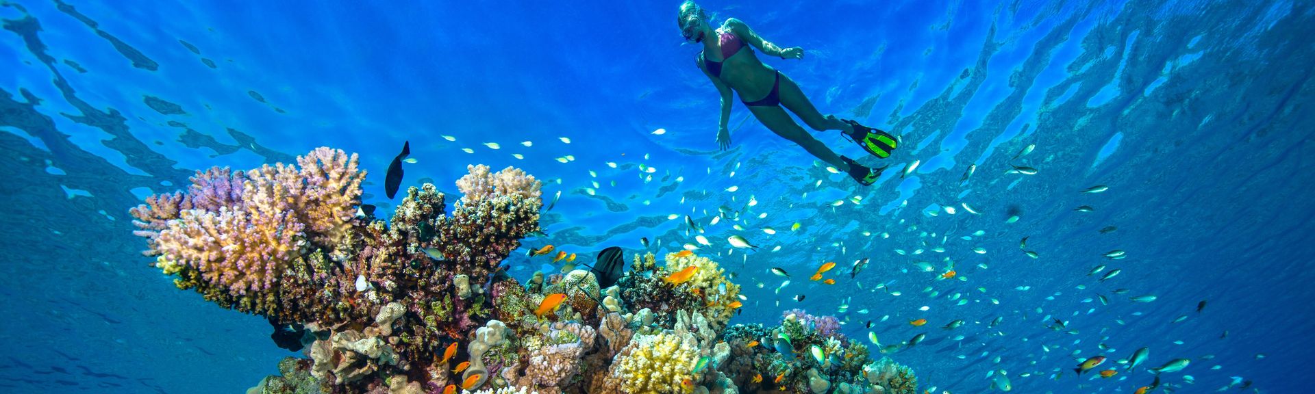 Unterwasserbild von einem Riff mit einer Frau die schnorchelt im Roten Meer, Ägypten