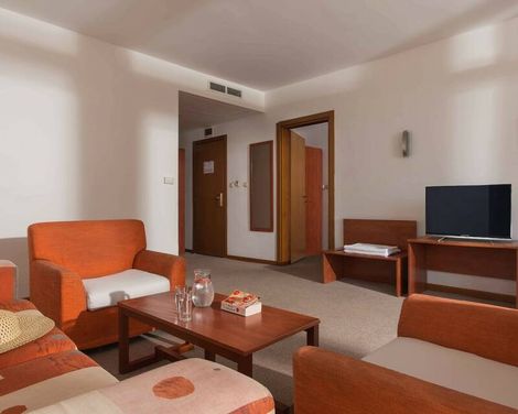 Hotel Fenix