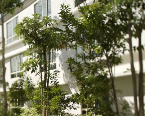 Amara Sanctuary Resort Sentosa-2