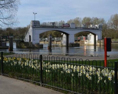The Lensbury-1