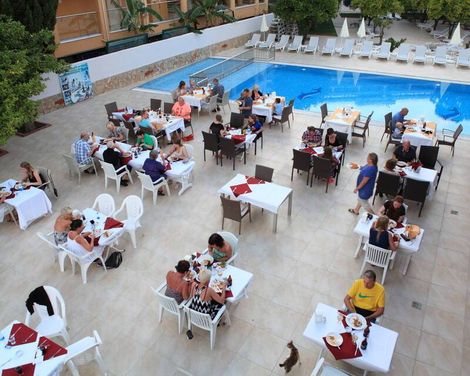 Catty Cats Garden Hotel-0