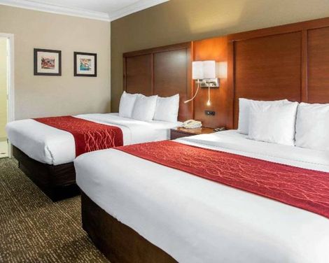 Comfort Inn & Suites San Francisco Airport North-1