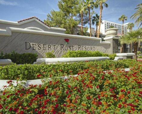 Desert Rose Resort