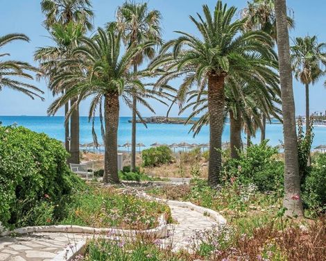 Nissi Beach Resort-0