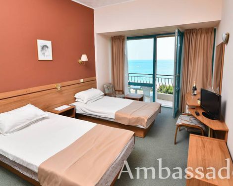 Ambassador-3