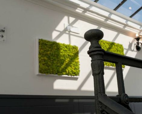 Palazzo Firenze-1