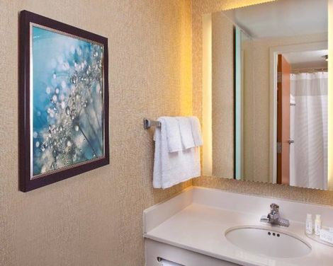 SpringHill Suites Orlando Lake Buena Vista in Marriott Village-3