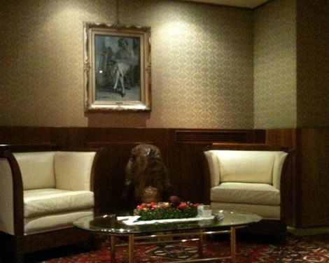 Hotel Indigo Verona  - Grand Hotel des Arts-3