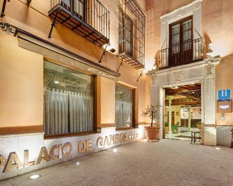 Hotel Sercotel Palacio de los Gamboa-2