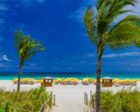 Royal Palm South Beach Miami, a Tribute Portfolio Resort