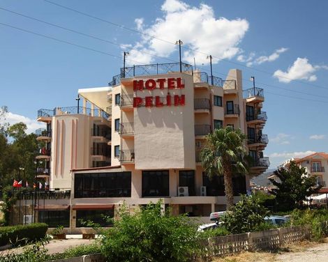 Hotel Pelin-0