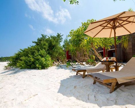 The Barefoot Eco Hotel-2